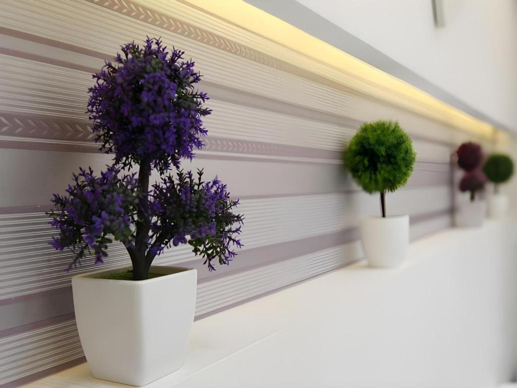 Beijing Yi Jia Hotel Екстериор снимка